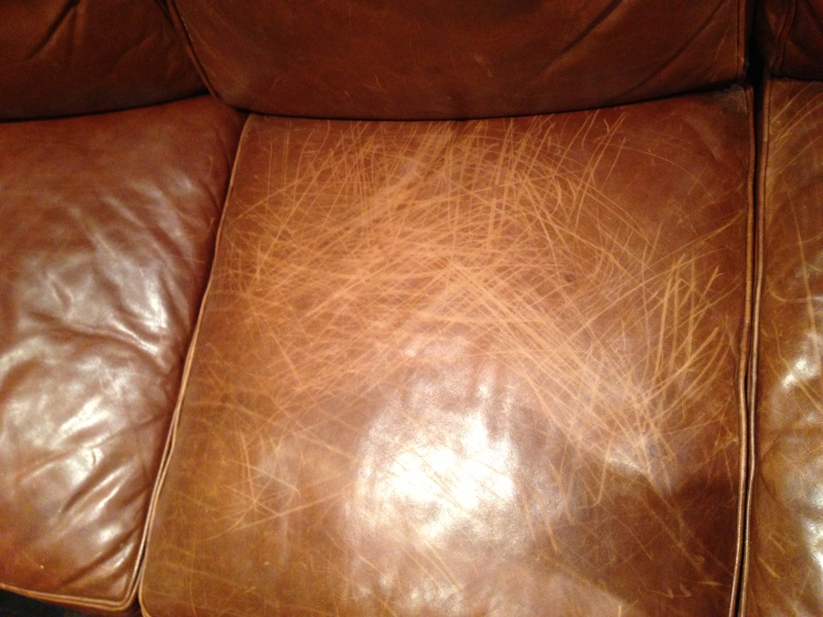 Aniline Wax Pull Up Leather, Scratched Leather Couch Dog