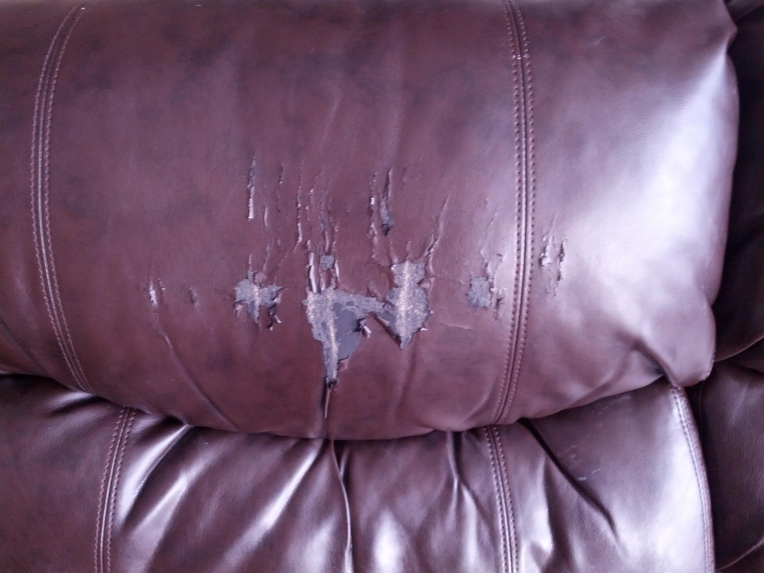 Bicast Leather Sofa, What Is Bicast Leather