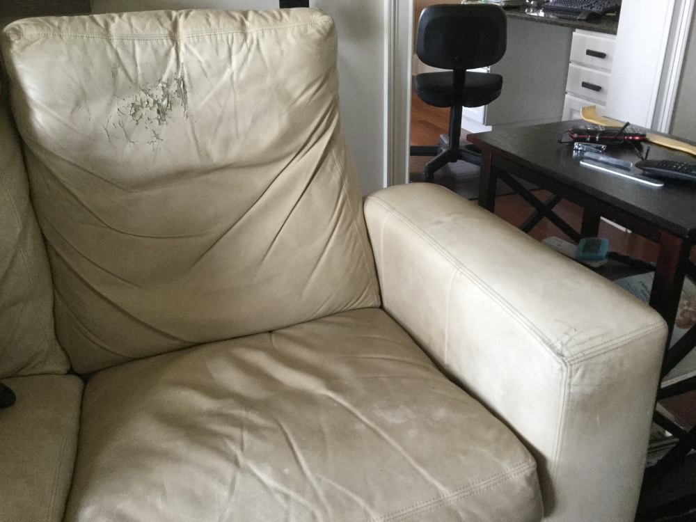 Name:  Couch1-1000x750.jpg
Views: 431
Size:  499.1 KB