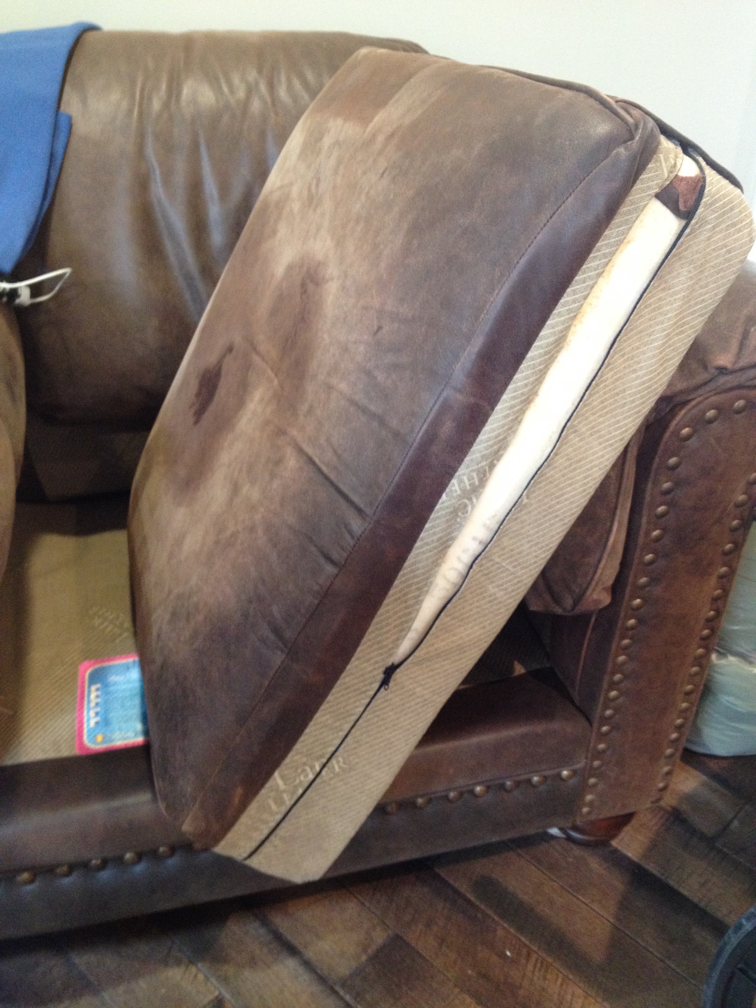 Name:  Chair Cushion Zipper.jpg
Views: 692
Size:  1.98 MB