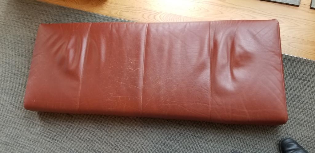 Name:  Orange Sofa Cushion.jpg
Views: 694
Size:  70.0 KB