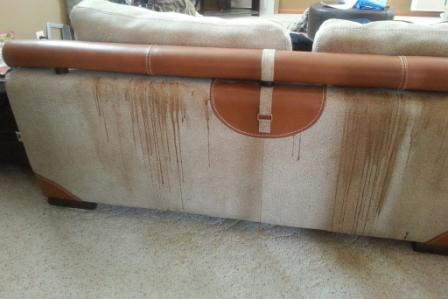 Name:  back of sofa, dripping stain from special need child humping chair.jpg
Views: 10021
Size:  18.2 KB