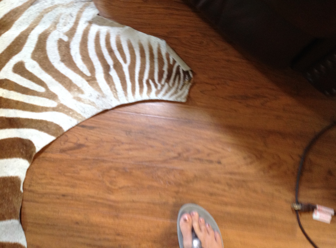 Name:  Zebra 1.jpg
Views: 1035
Size:  382.9 KB